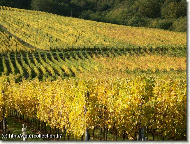 Diapositive suivante